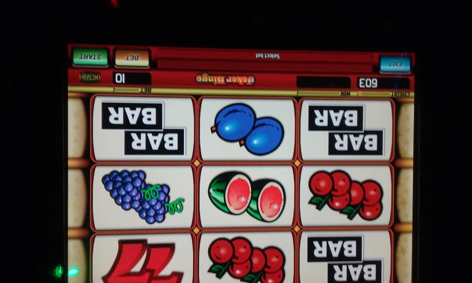 2017-8-17-1253foto KN.jpg